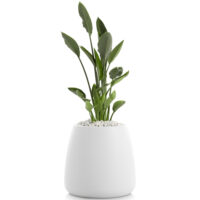 Diabla designove kvetinace Gobi 1 58339 diabla designove kvetinace gobi 1
