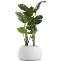 Diabla designove kvetinace Gobi 3 58362 diabla designove kvetinace gobi 3