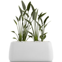 Diabla designove kvetinace Gobi 5 58387 diabla designove kvetinace gobi 5